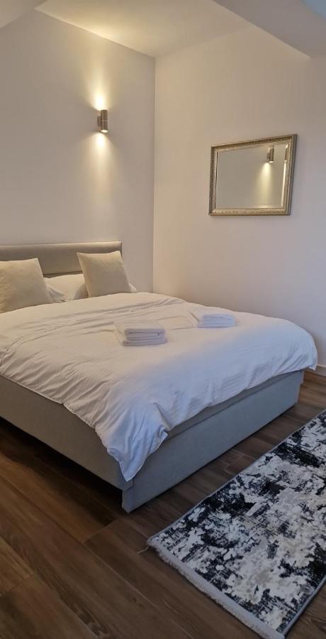 Modern House Hotel Sighetu Marmaţiei Buitenkant foto